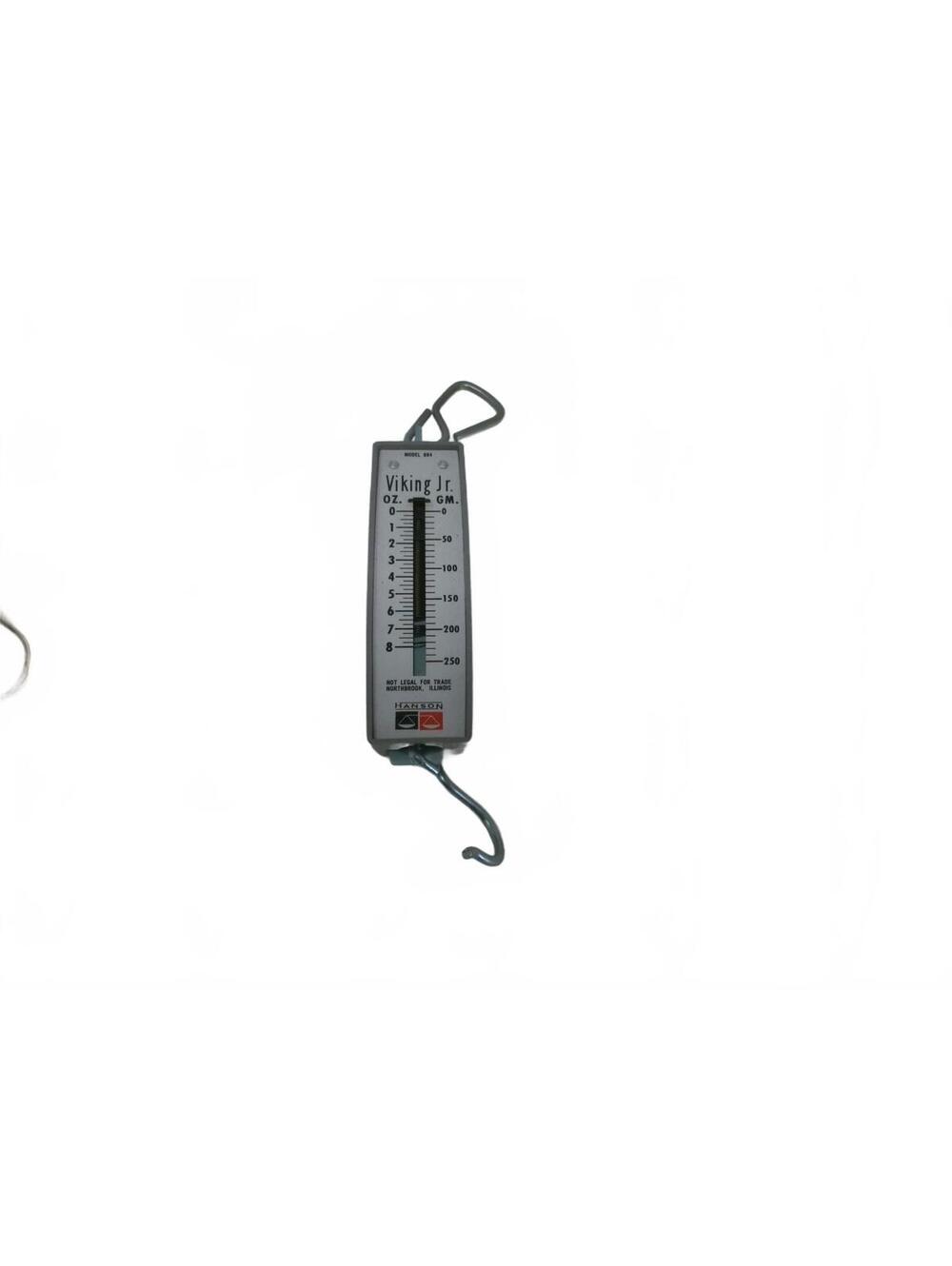 Taylor Viking Jr. Hanging Scale with Hook